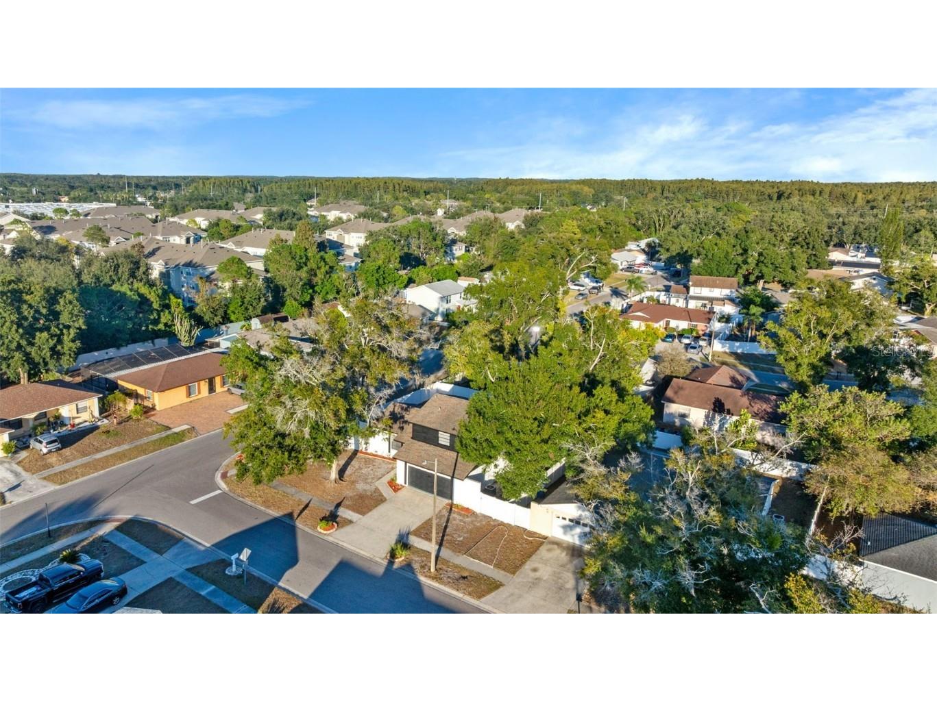 6502 Spanish Moss Circle Tampa FL 33625 TB8444777 image35