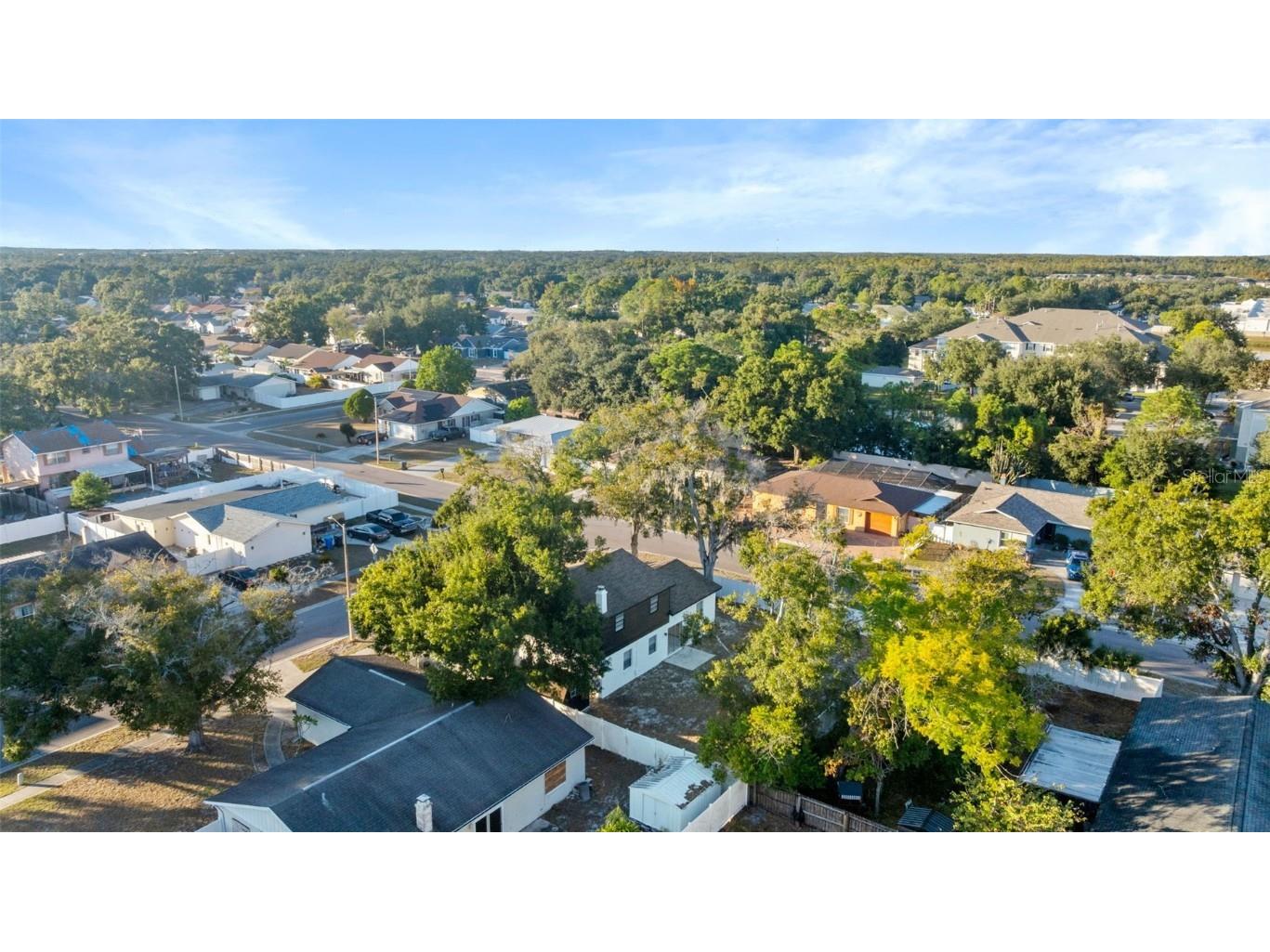 6502 Spanish Moss Circle Tampa FL 33625 TB8444777 image36