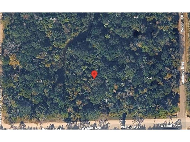 6502 Walnut Avenue Bunnell FL 32110 FC315222 image1