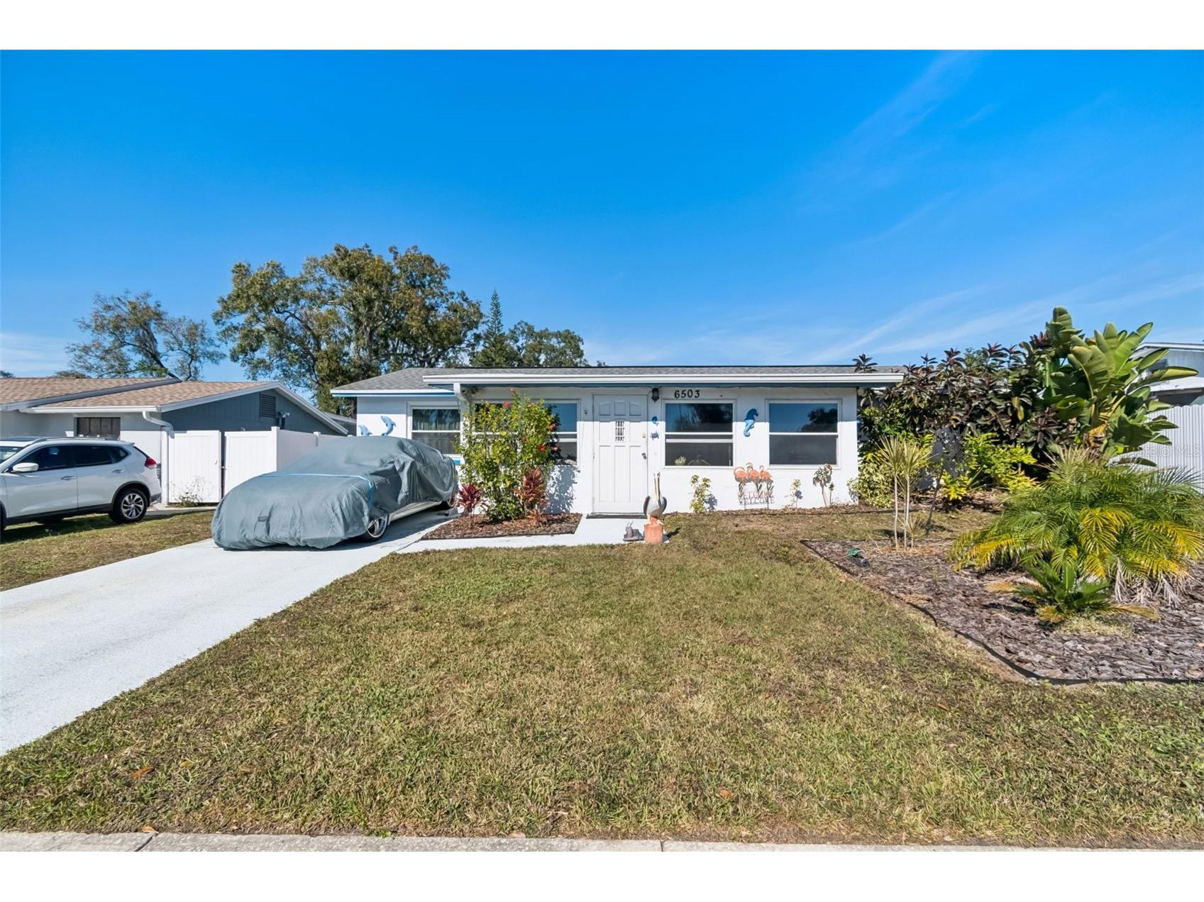 6503 Amundson Court Tampa FL 33634 TB8468025 image4