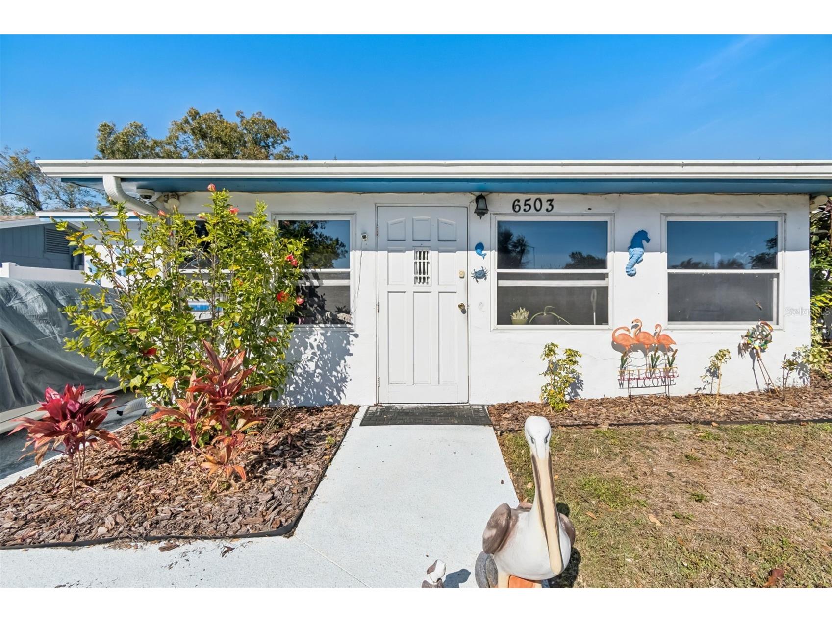 6503 Amundson Court Tampa FL 33634 TB8468025 image8