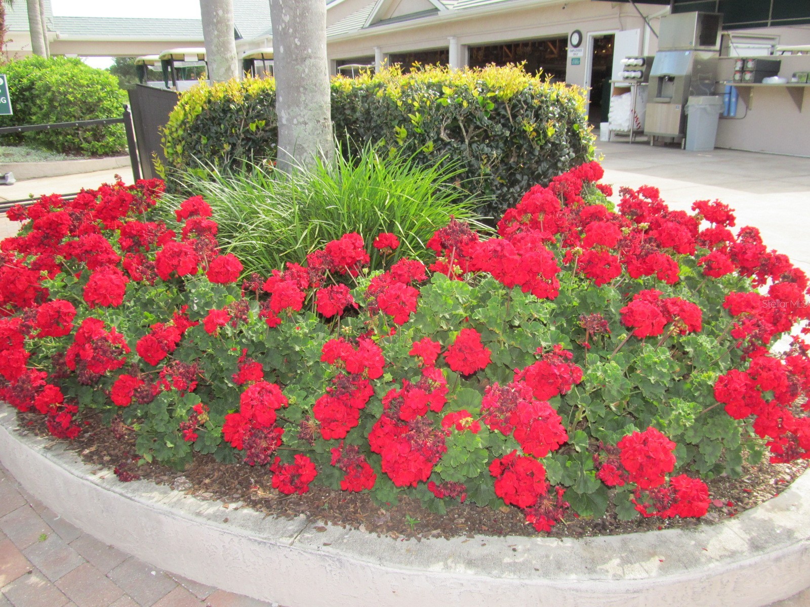 6503 Stone River Road #109 Bradenton FL 34203 A4608855 image63