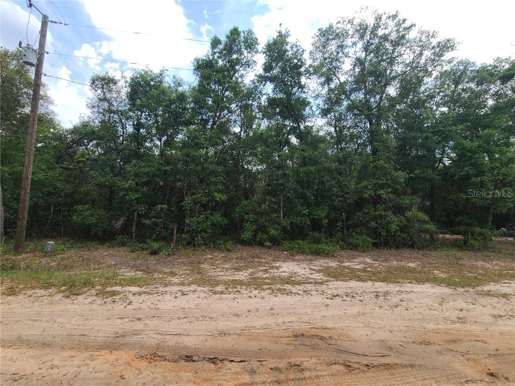 6504 Baylor Avenue Keystone Heights FL 32656 OM700902 image1