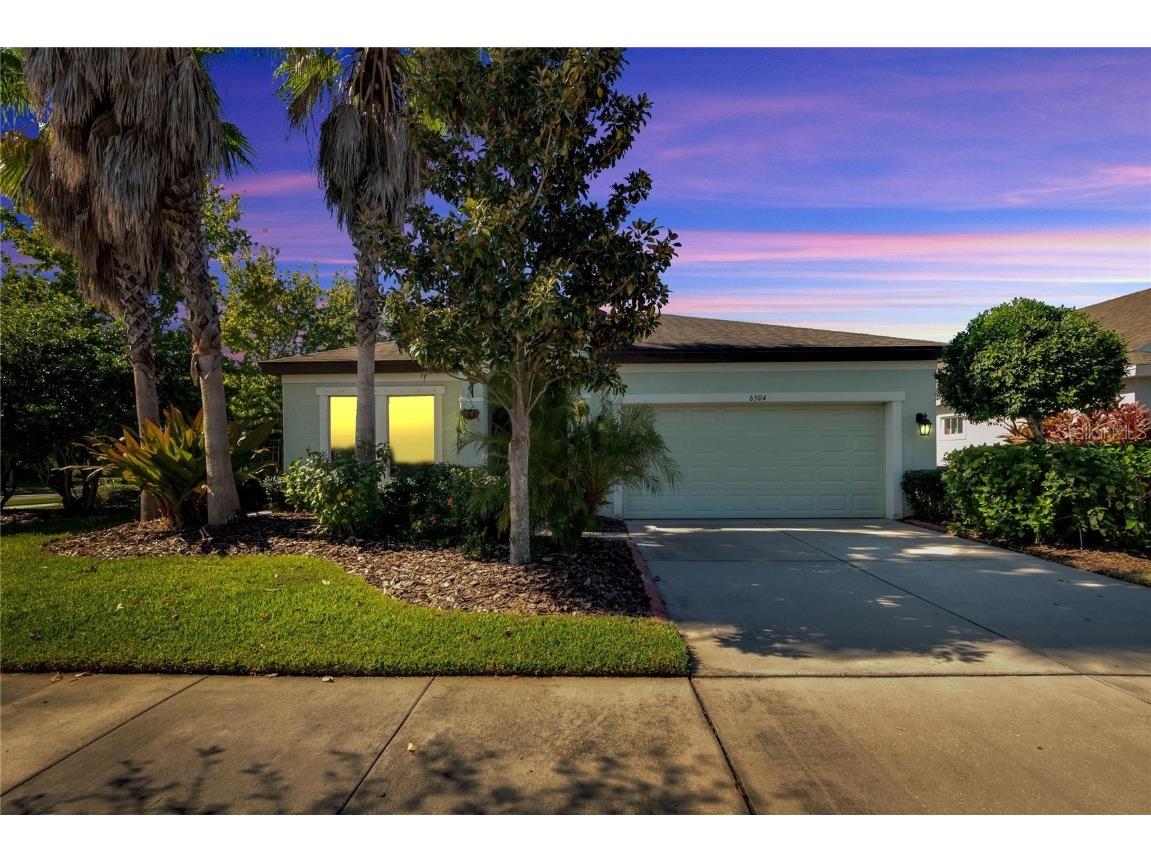 6504 Salt Creek Avenue Apollo Beach FL 33572 T3484741 image1