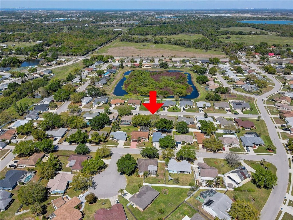 6505 64th Lane E Palmetto FL 34221 TB8520923 image28