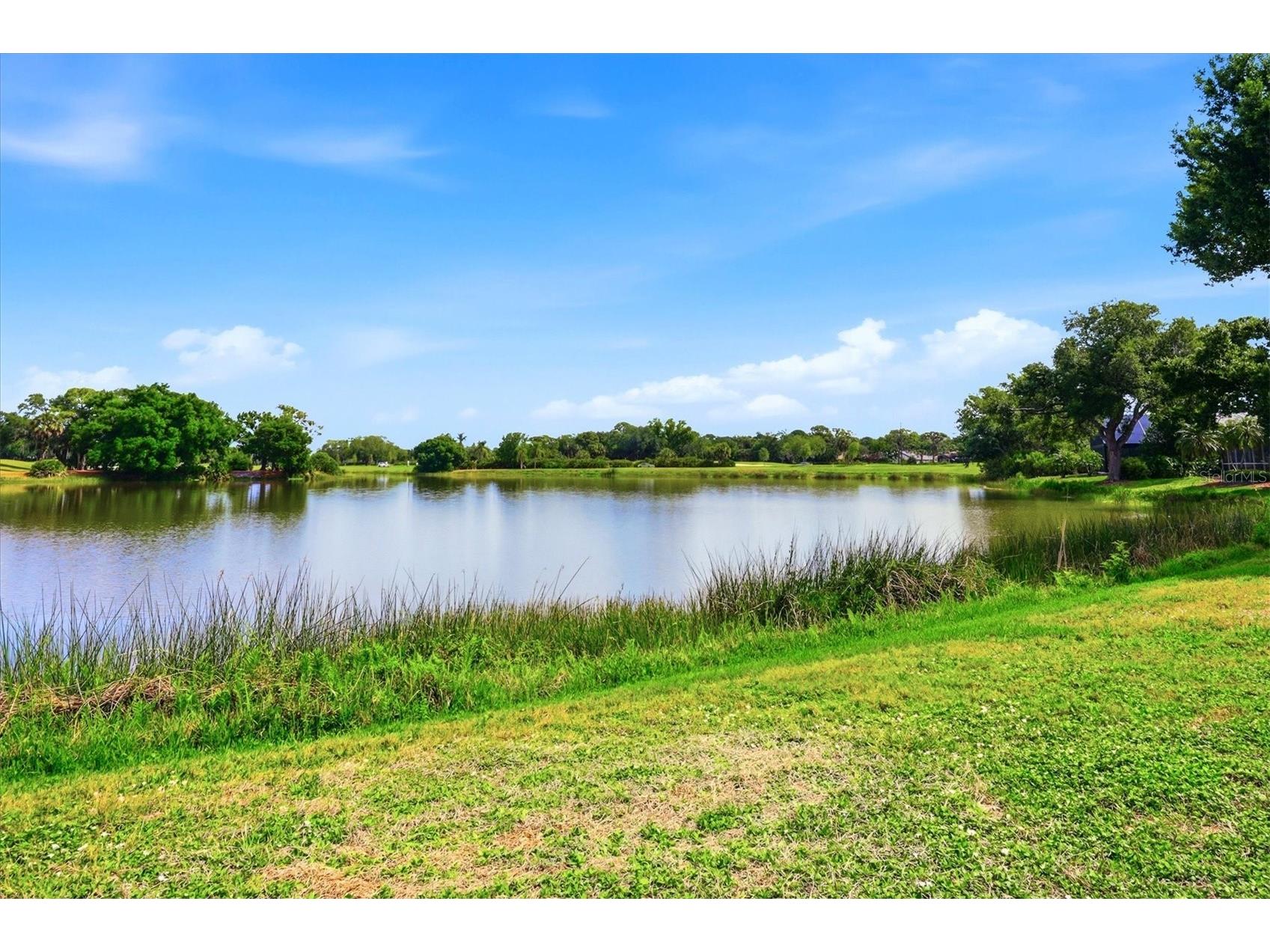 6505 Berkshire Place University Park FL 34201 A4688908 image25