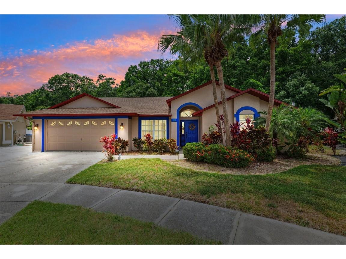 6505 Broadwing Court Tampa FL 33625 W7876237 image1
