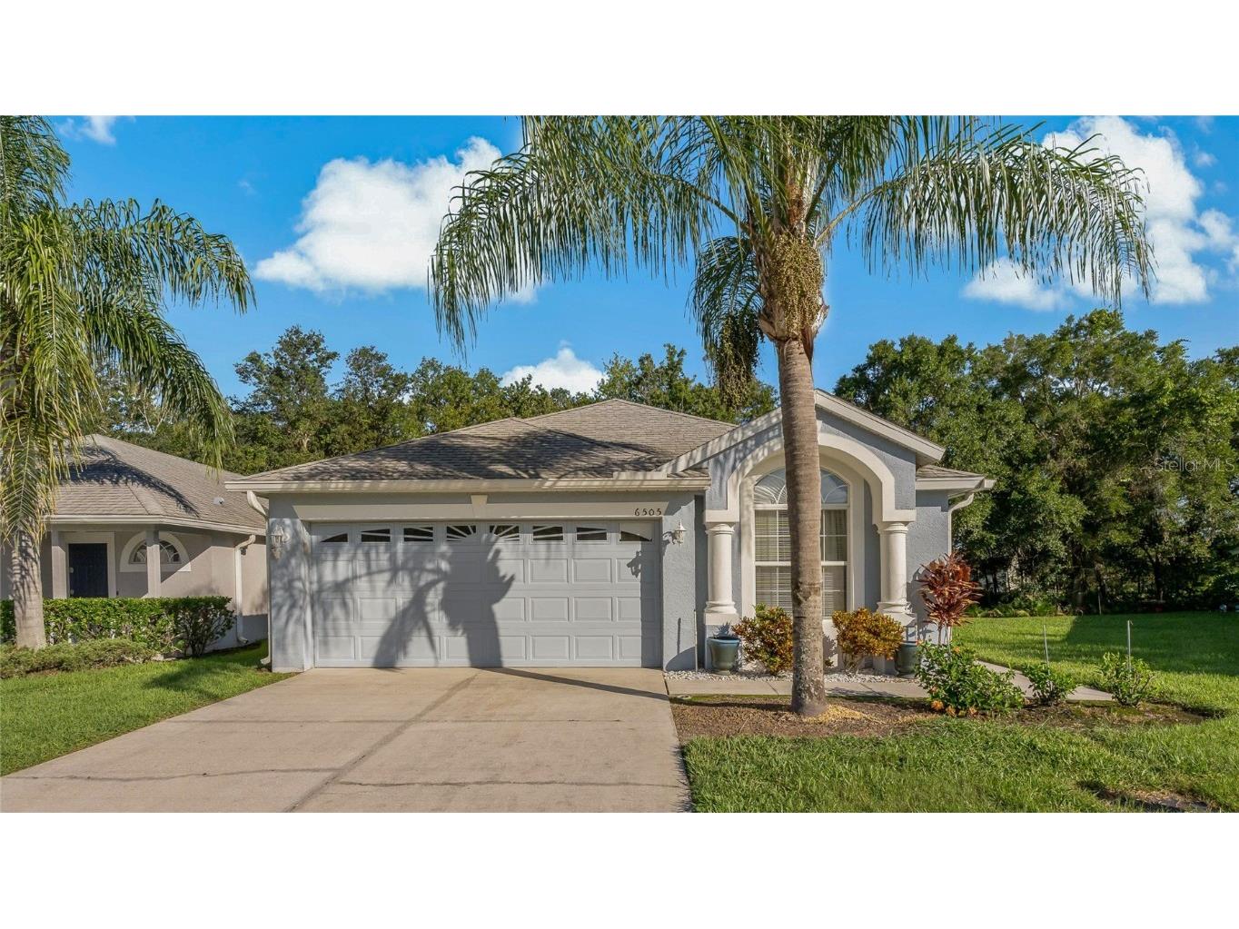 6505 Gentle Ben Circle Wesley Chapel FL 33544 U8206764 image1