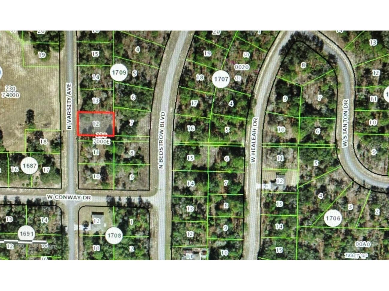 6505 N Varsity Avenue Citrus Springs FL 34434 OM672780 image1