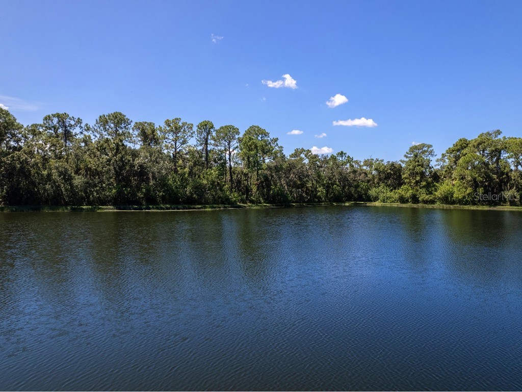 6505 Oakland Hills Drive Lakewood Ranch FL 34202 A4661713 image40