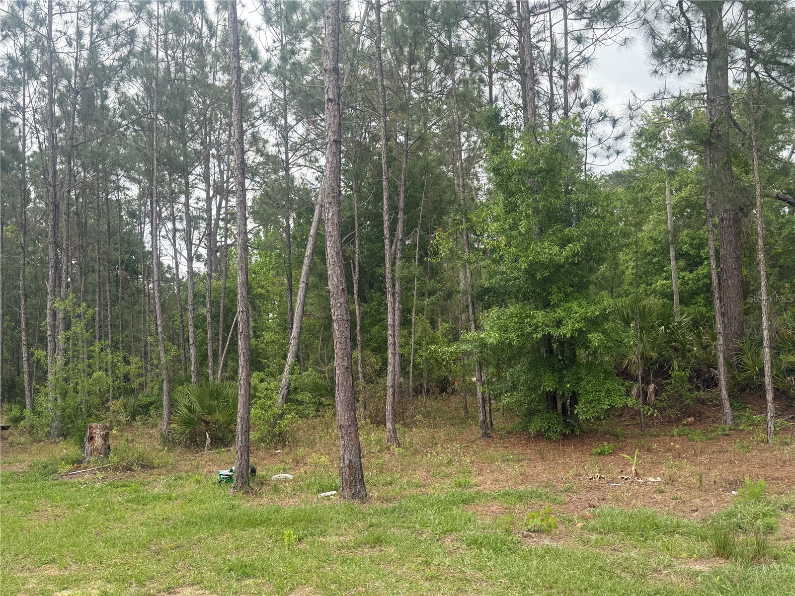 6505 Oil Well Road Clermont FL 34714 G5110695 image27