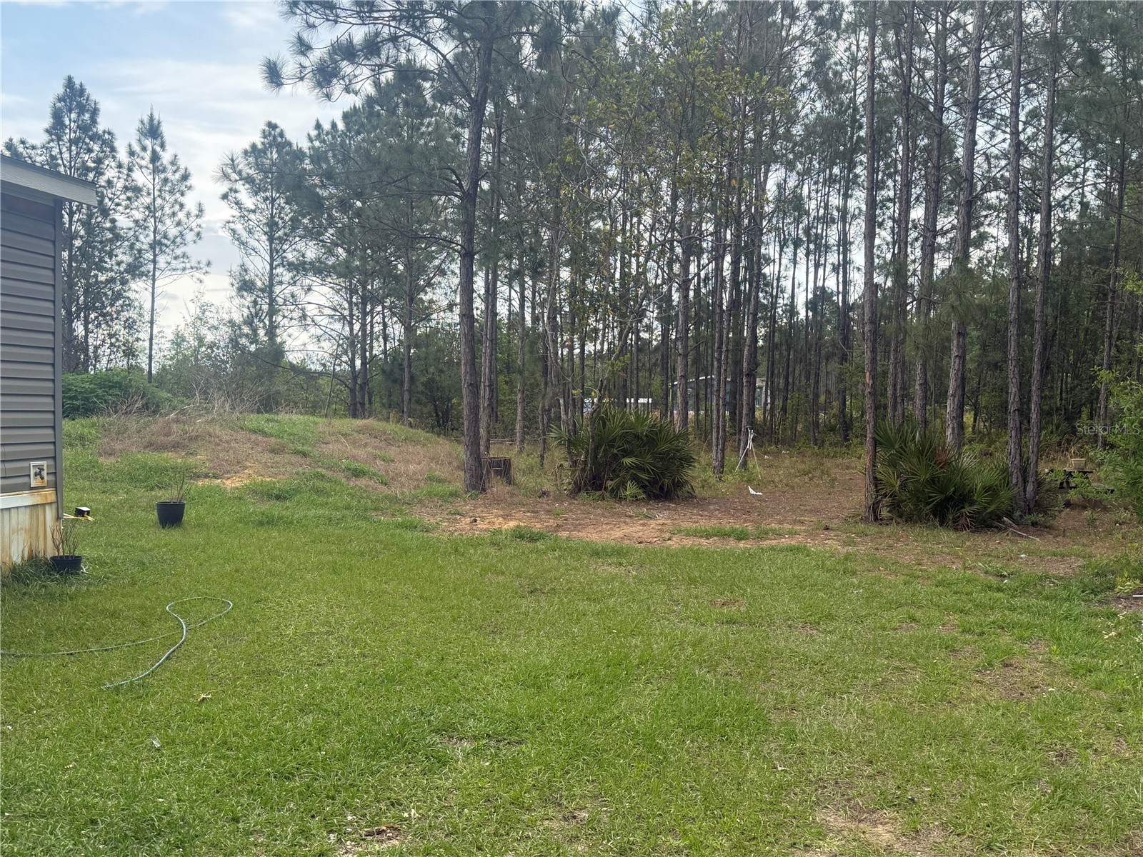 6505 Oil Well Road Clermont FL 34714 G5110695 image28