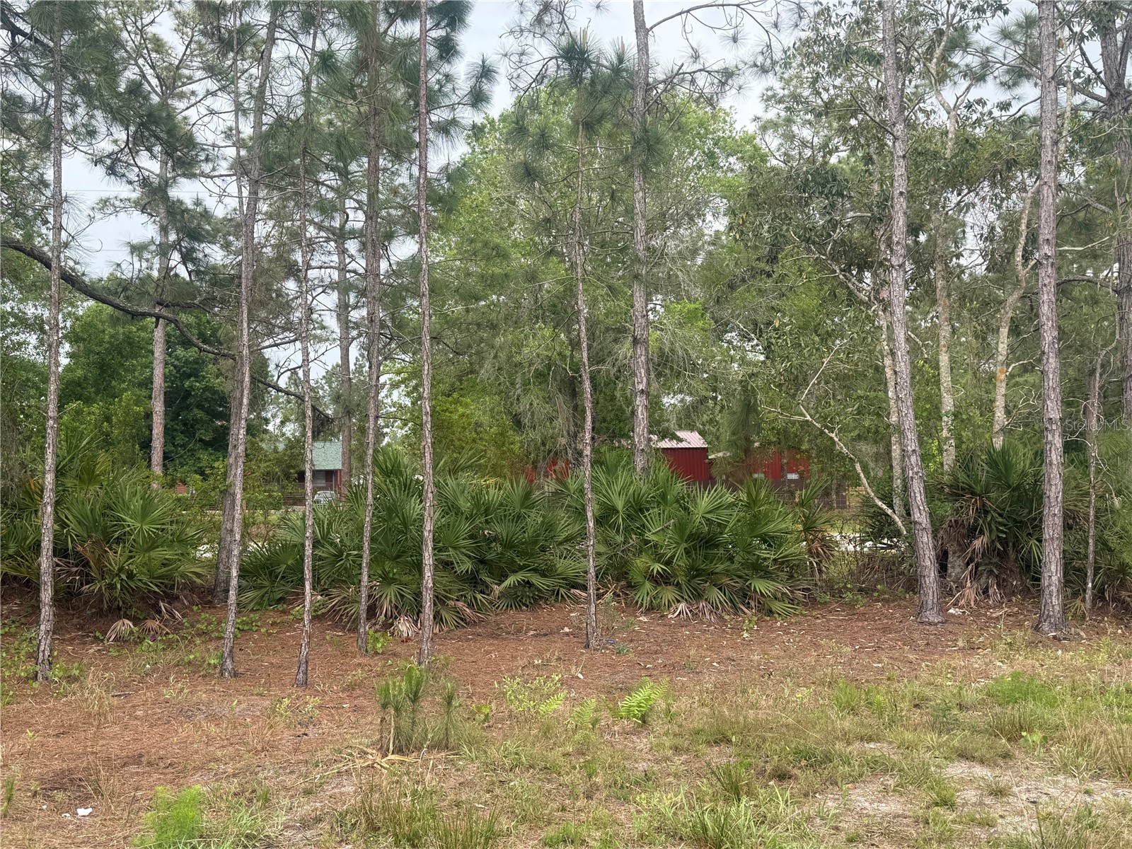 6505 Oil Well Road Clermont FL 34714 G5110695 image29