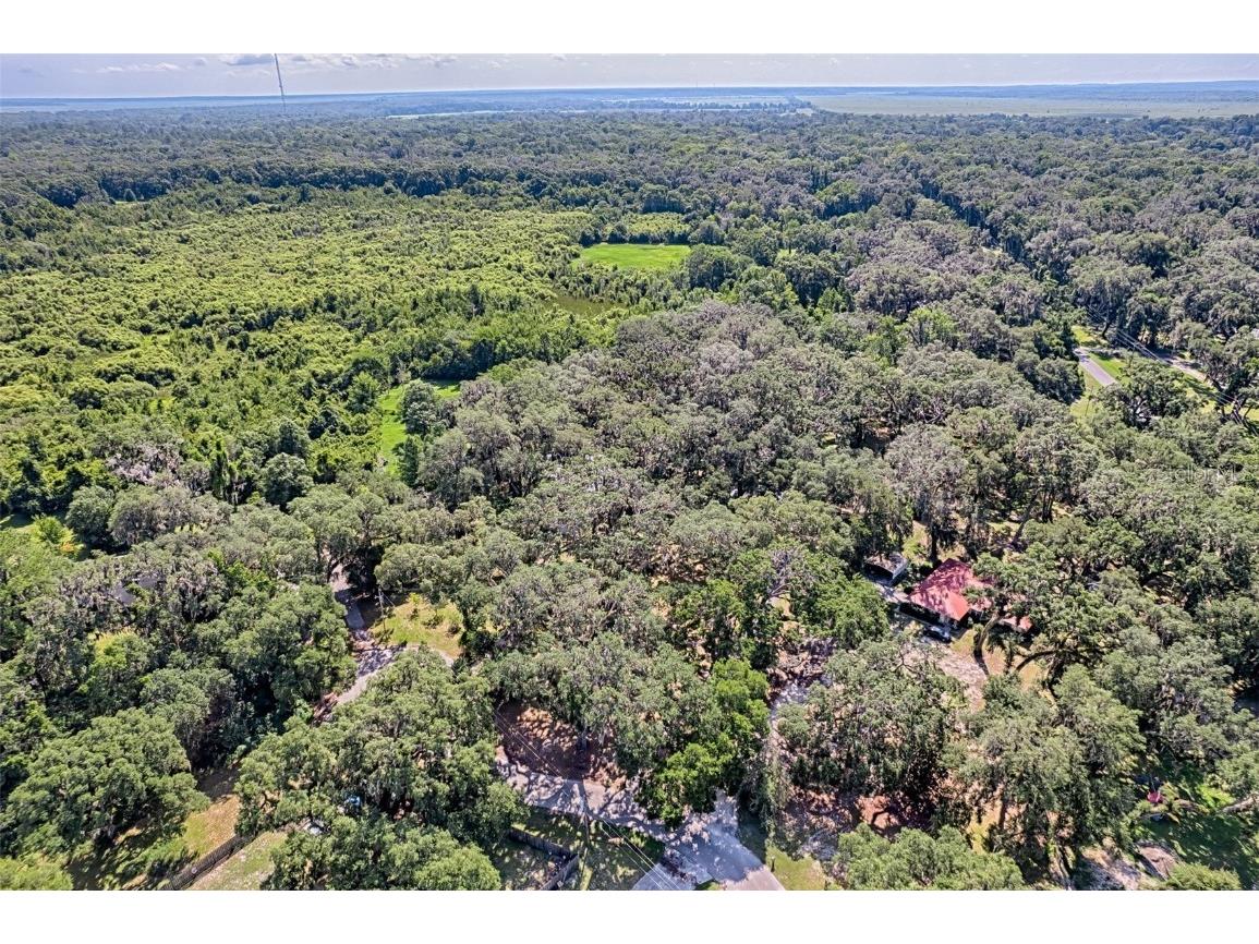 6505 SW 135th Place Archer FL 32618 GC531928 image35