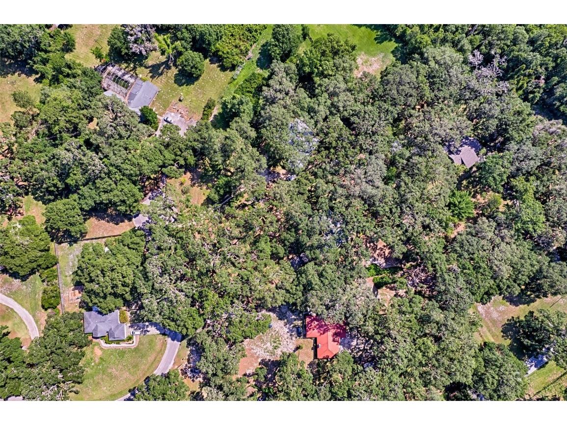 6505 SW 135th Place Archer FL 32618 GC531928 image36