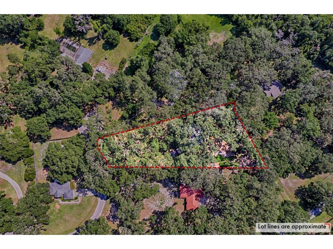 6505 SW 135th Place Archer FL 32618 GC531928 image37