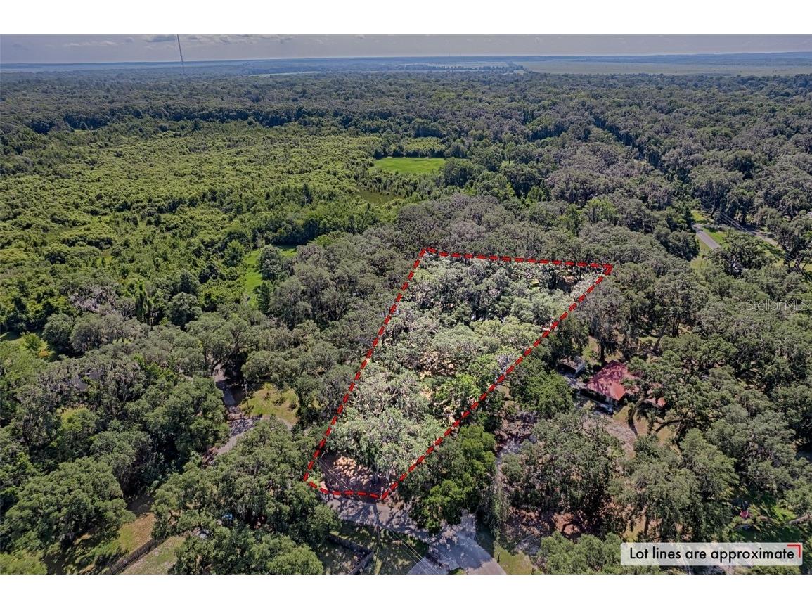 6505 SW 135th Place Archer FL 32618 GC531928 image38