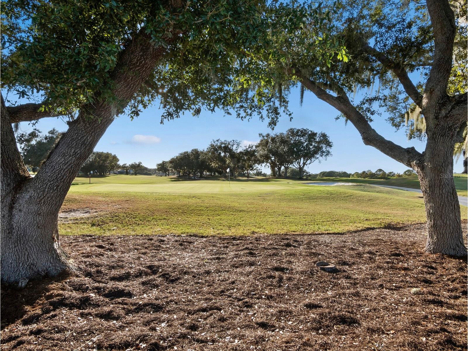 6505 Taeda Drive Sarasota FL 34241 A4670297 image36