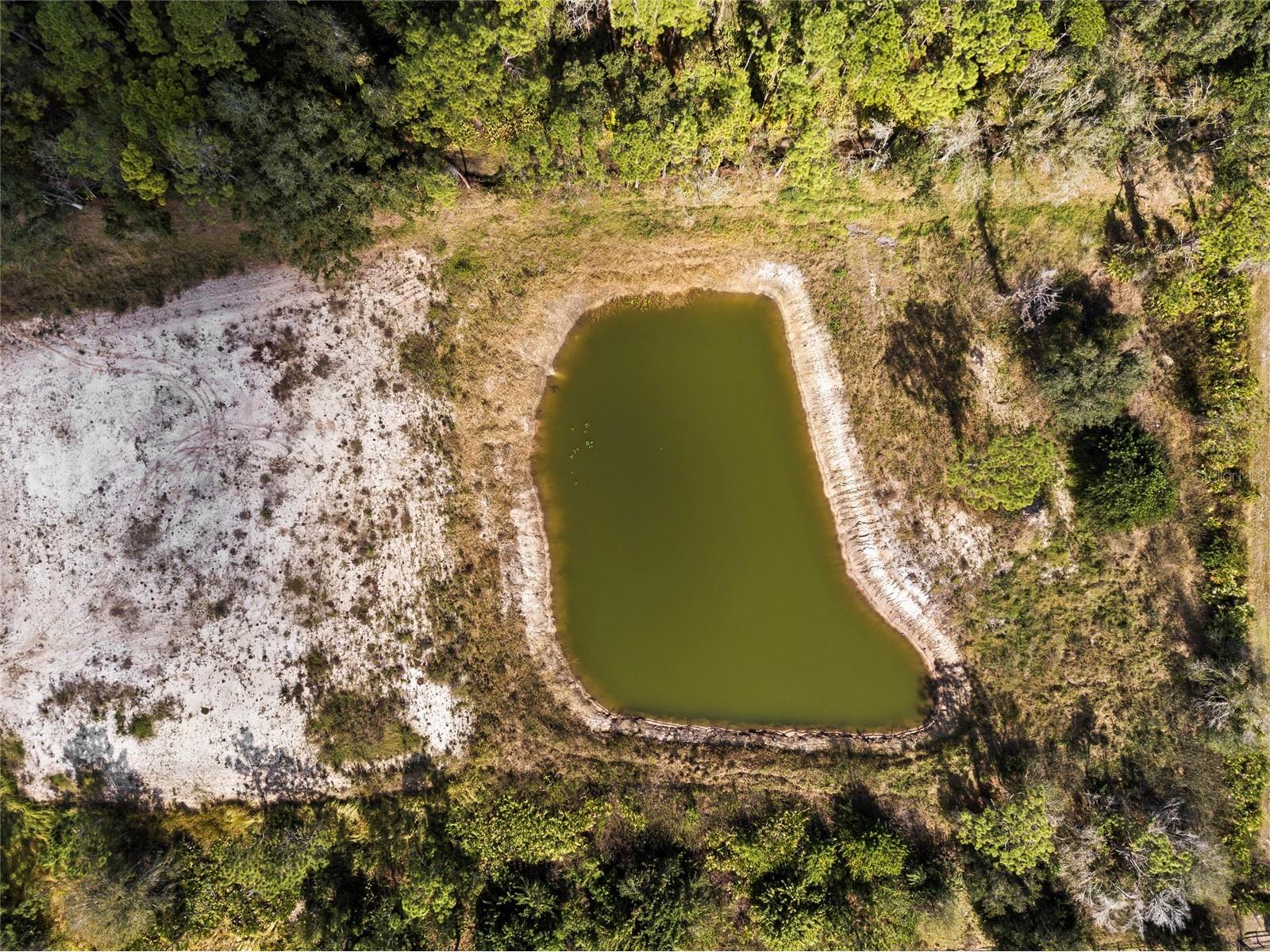 6506 County Road 675 E Bradenton FL 34211 A4680162 image12