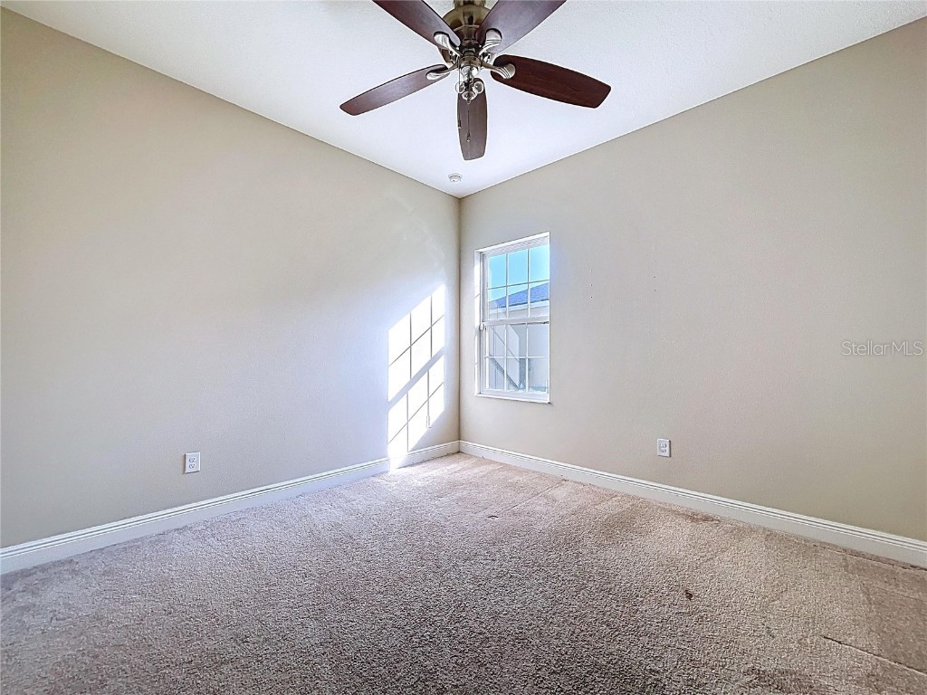 6507 Nestall Court Apollo Beach FL 33572 TB8452323 image24