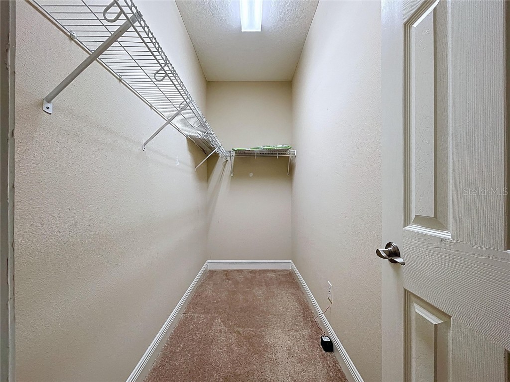 6507 Nestall Court Apollo Beach FL 33572 TB8452323 image31