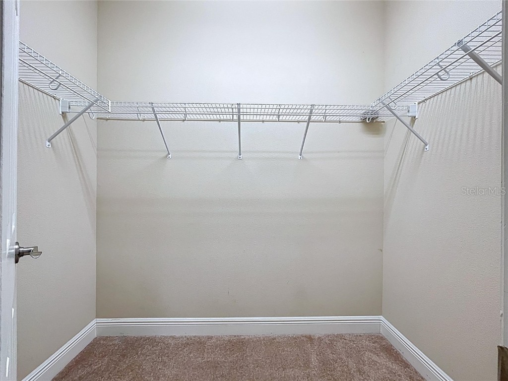 6507 Nestall Court Apollo Beach FL 33572 TB8452323 image32