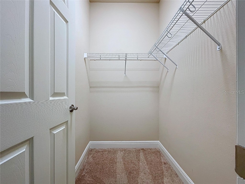 6507 Nestall Court Apollo Beach FL 33572 TB8452323 image39