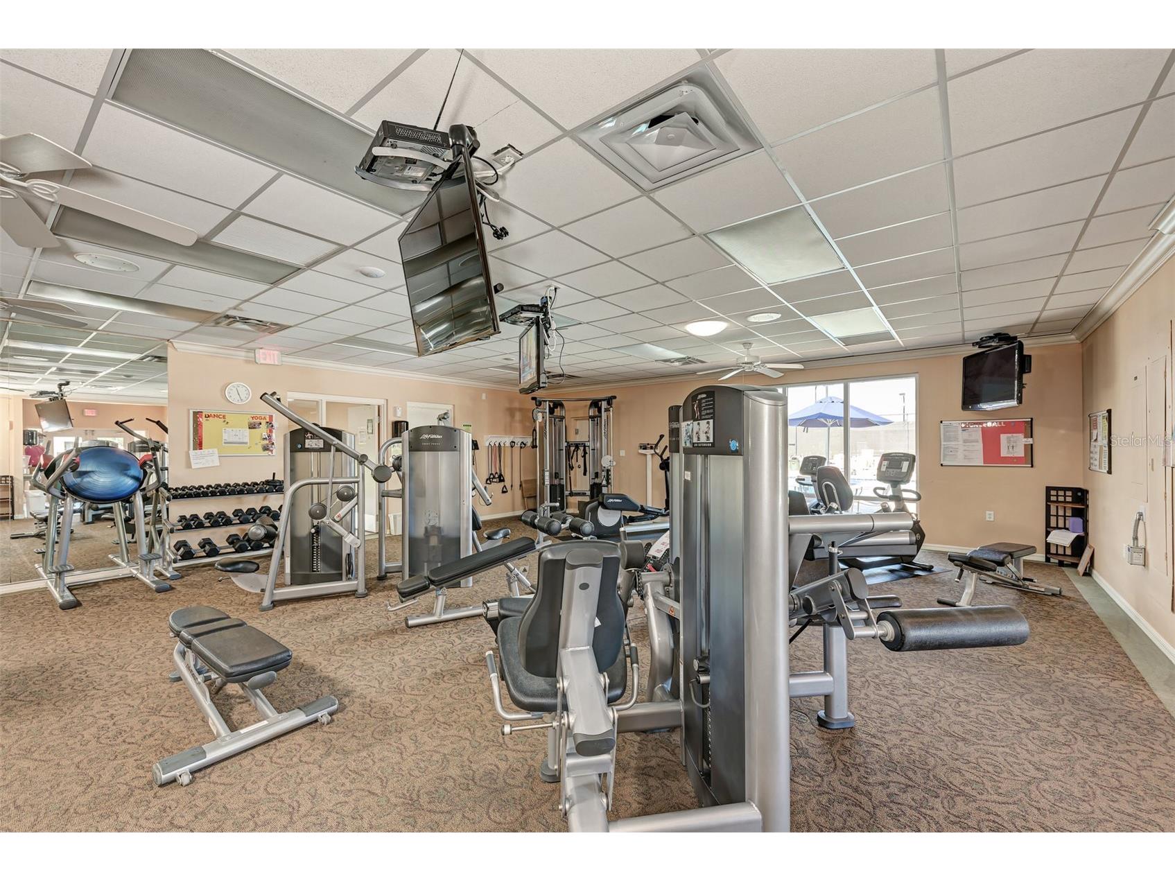 6507 Stone River Road #205 Bradenton FL 34203 A4693391 image34