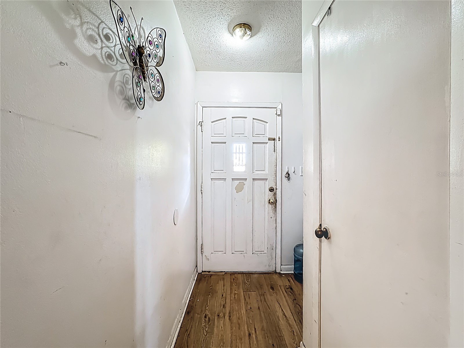 6508 1st Avenue W Bradenton FL 34209 A4687306 image12