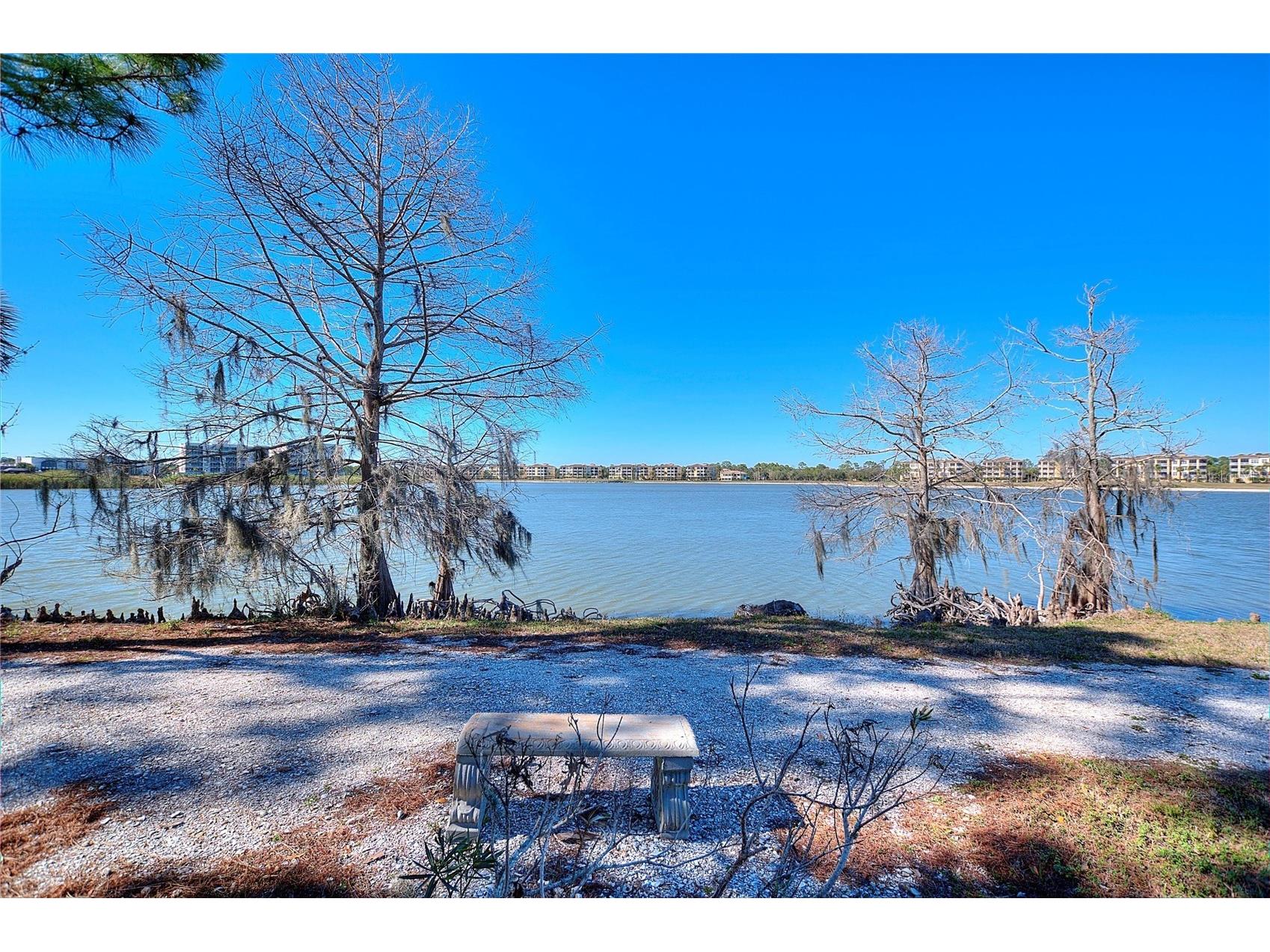 6508 Moorings Point Circle #201 Lakewood Ranch FL 34202 - LAKE UIHLEIN A4683844 image53