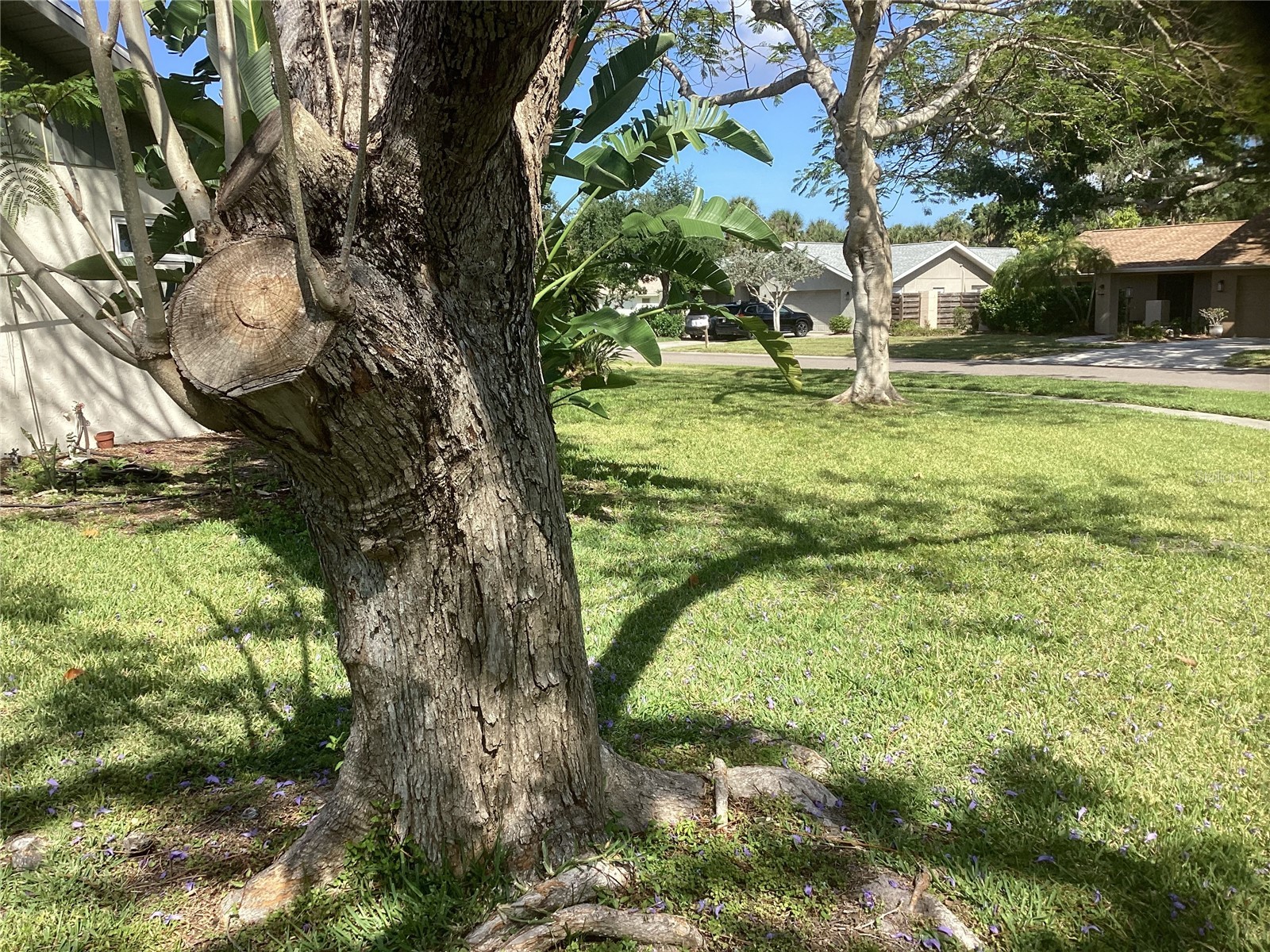 6508 Waterford Circle Sarasota FL 34238 A4690255 image4