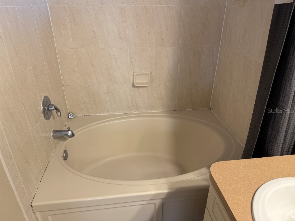 6509 Bridgecrest Drive Lithia FL 33547 TB8450582 image11