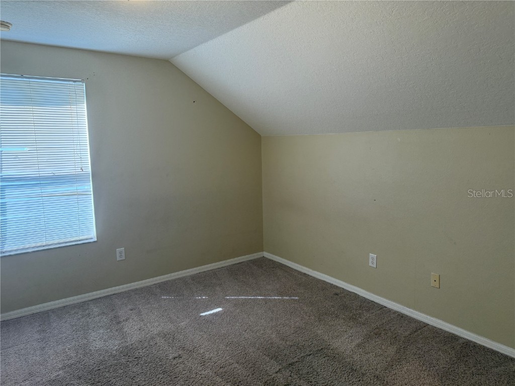 6509 Bridgecrest Drive Lithia FL 33547 TB8450582 image12