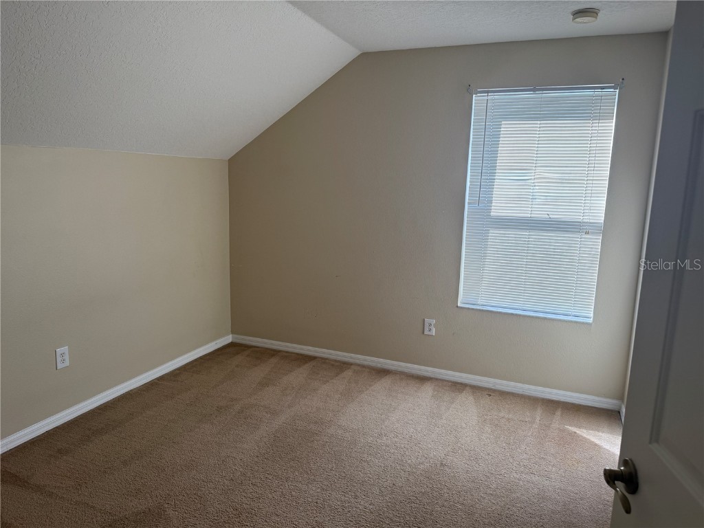 6509 Bridgecrest Drive Lithia FL 33547 TB8450582 image13