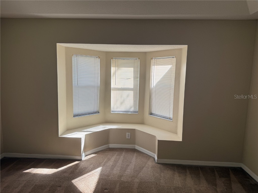 6509 Bridgecrest Drive Lithia FL 33547 TB8450582 image9