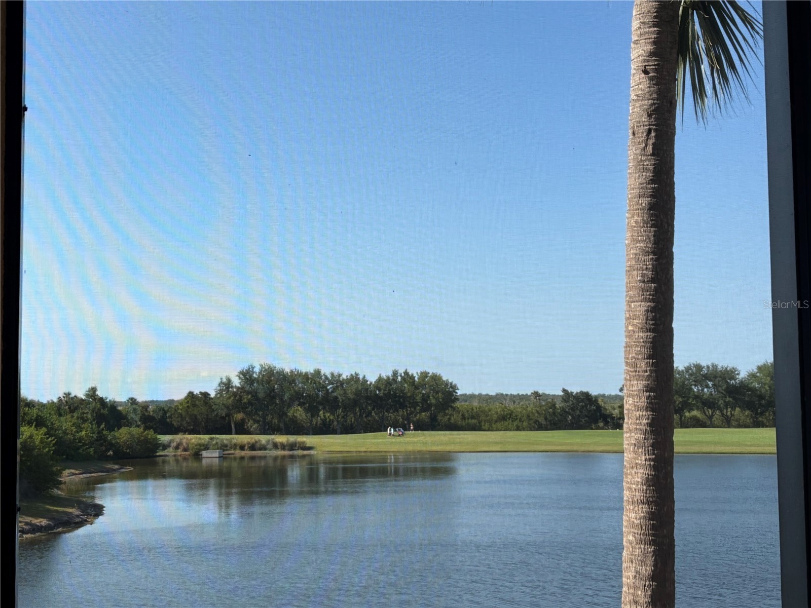 6509 Grand Estuary Trail #208 Bradenton FL 34212 A4692157 image27