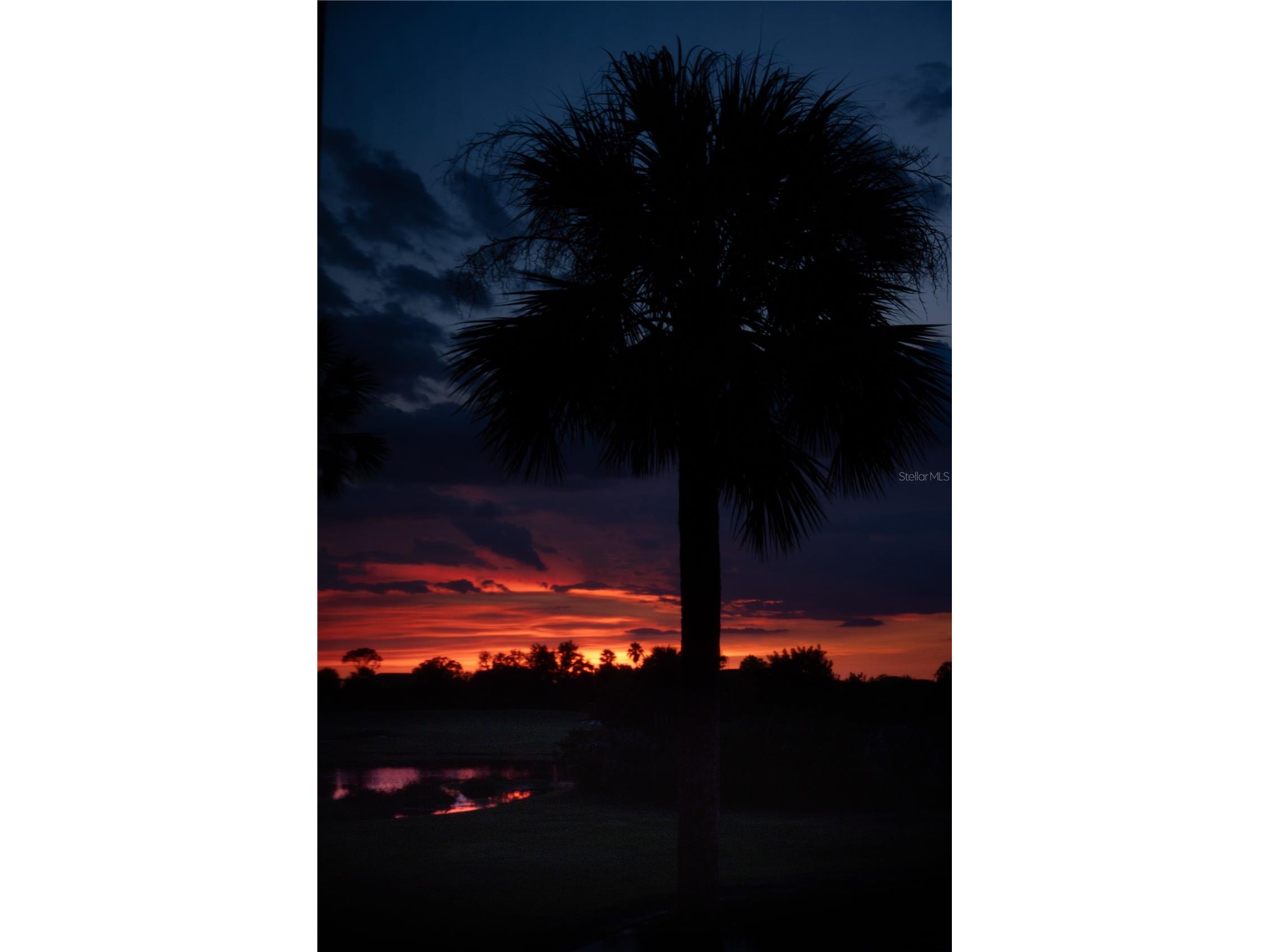6509 Grand Estuary Trail #208 Bradenton FL 34212 A4692157 image28