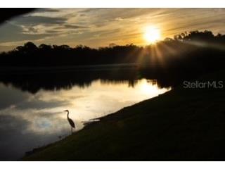 6509 Grand Estuary Trail #208 Bradenton FL 34212 A4692157 image29