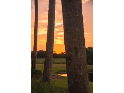 6509 Grand Estuary Trail #208 Bradenton FL 34212 A4692157 image30