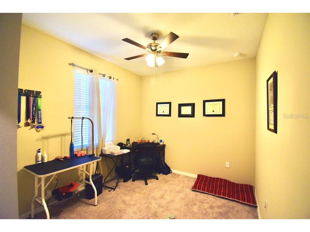 6509 Great Bear Drive Lakeland FL 33805 L4958285 image19