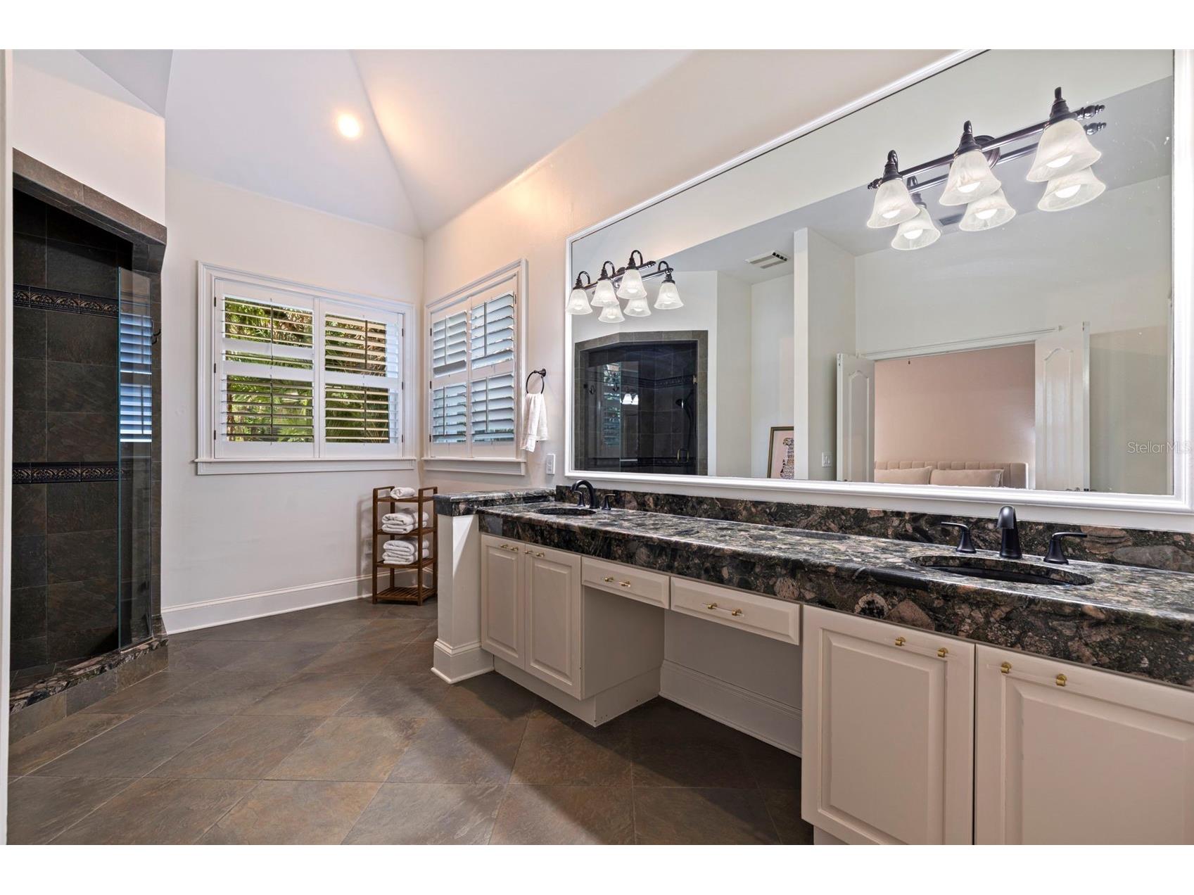 6509 Stonington Drive S Tampa FL 33647 TB8498876 image30