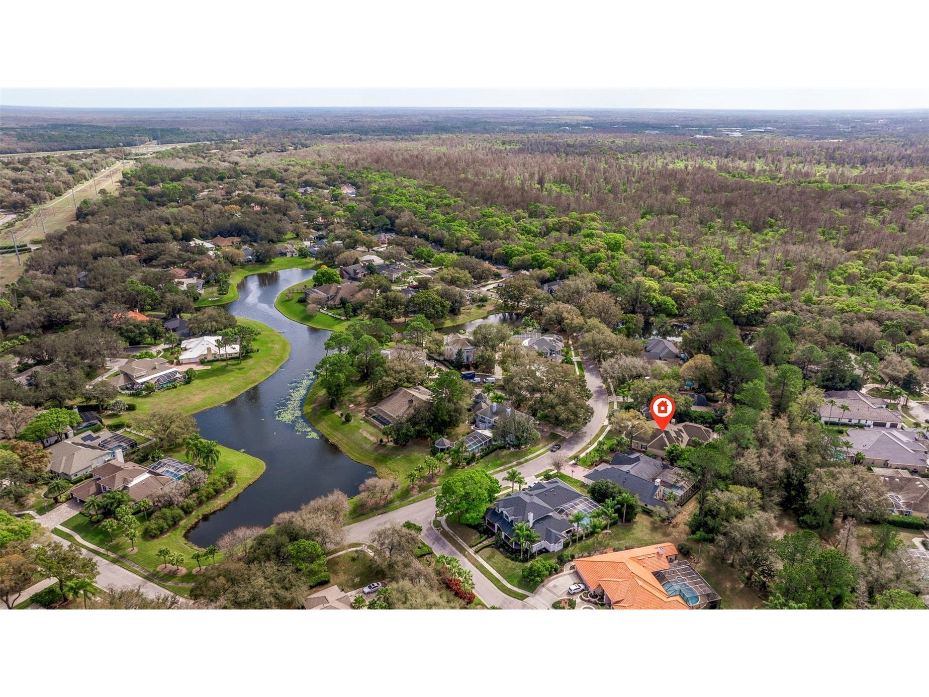 6509 Stonington Drive S Tampa FL 33647 TB8498876 image53
