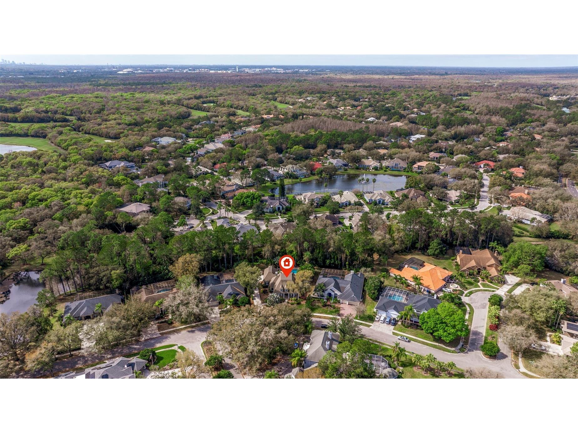 6509 Stonington Drive S Tampa FL 33647 TB8498876 image54