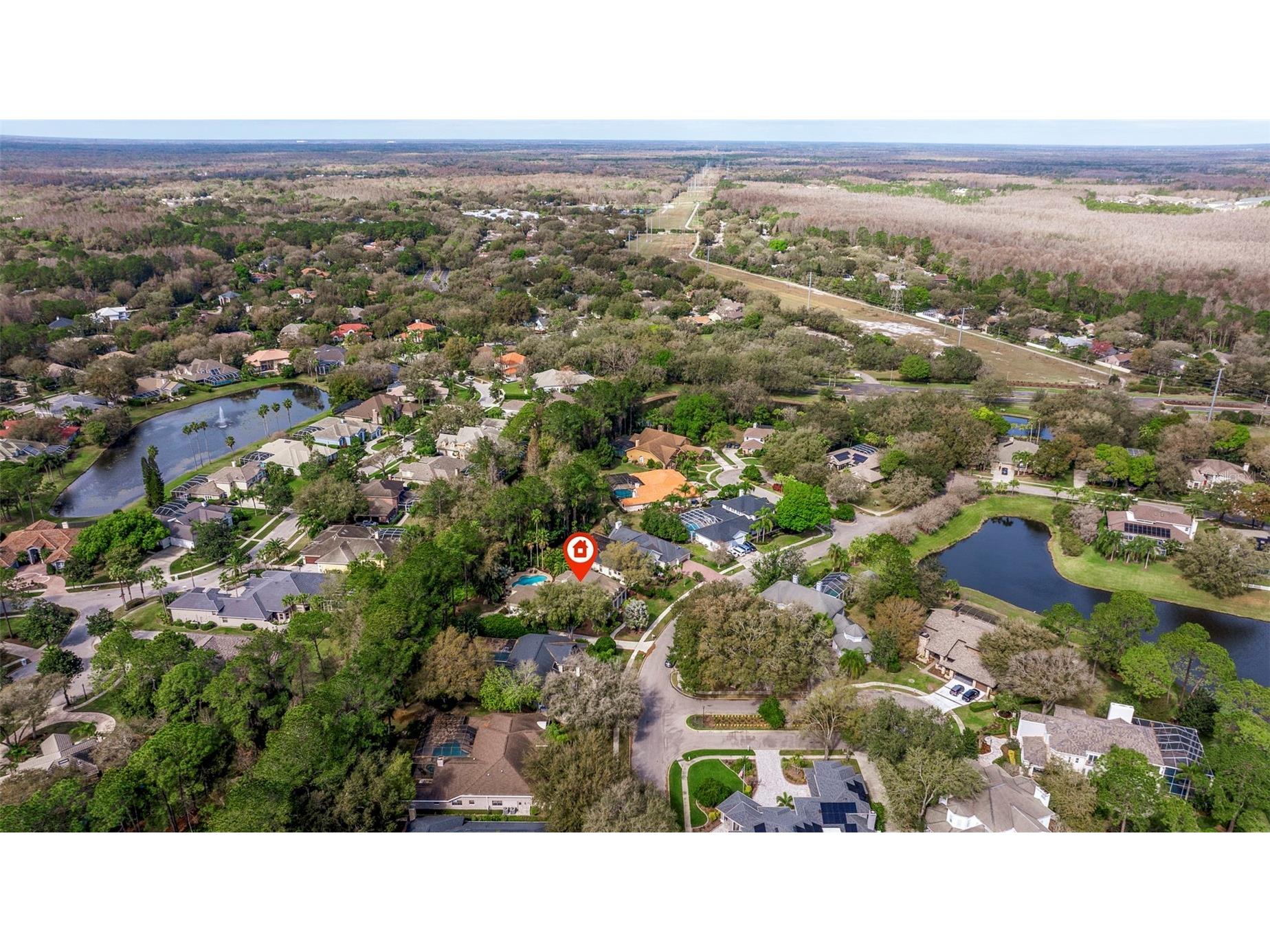 6509 Stonington Drive S Tampa FL 33647 TB8498876 image55