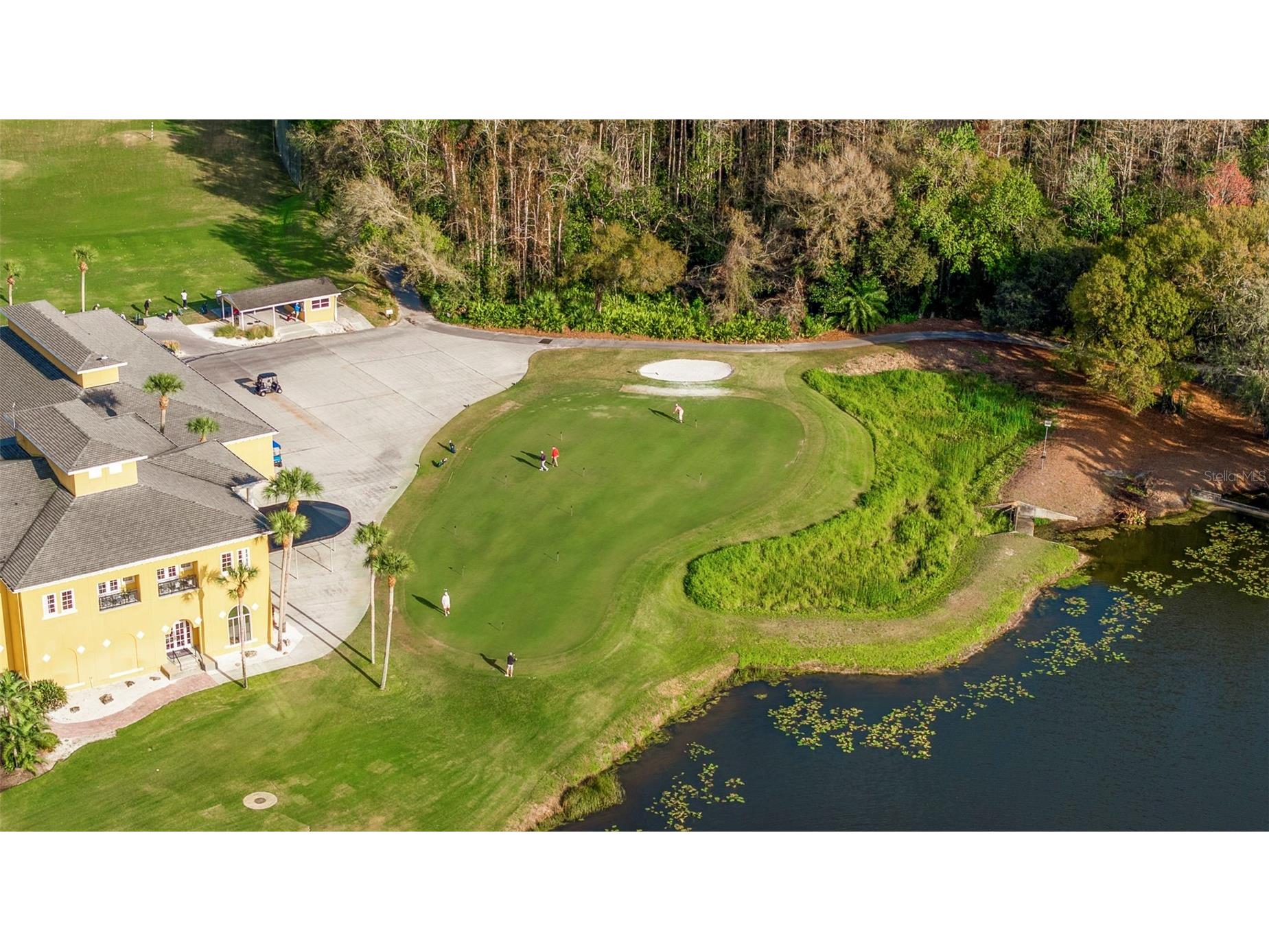 6509 Stonington Drive S Tampa FL 33647 TB8498876 image57