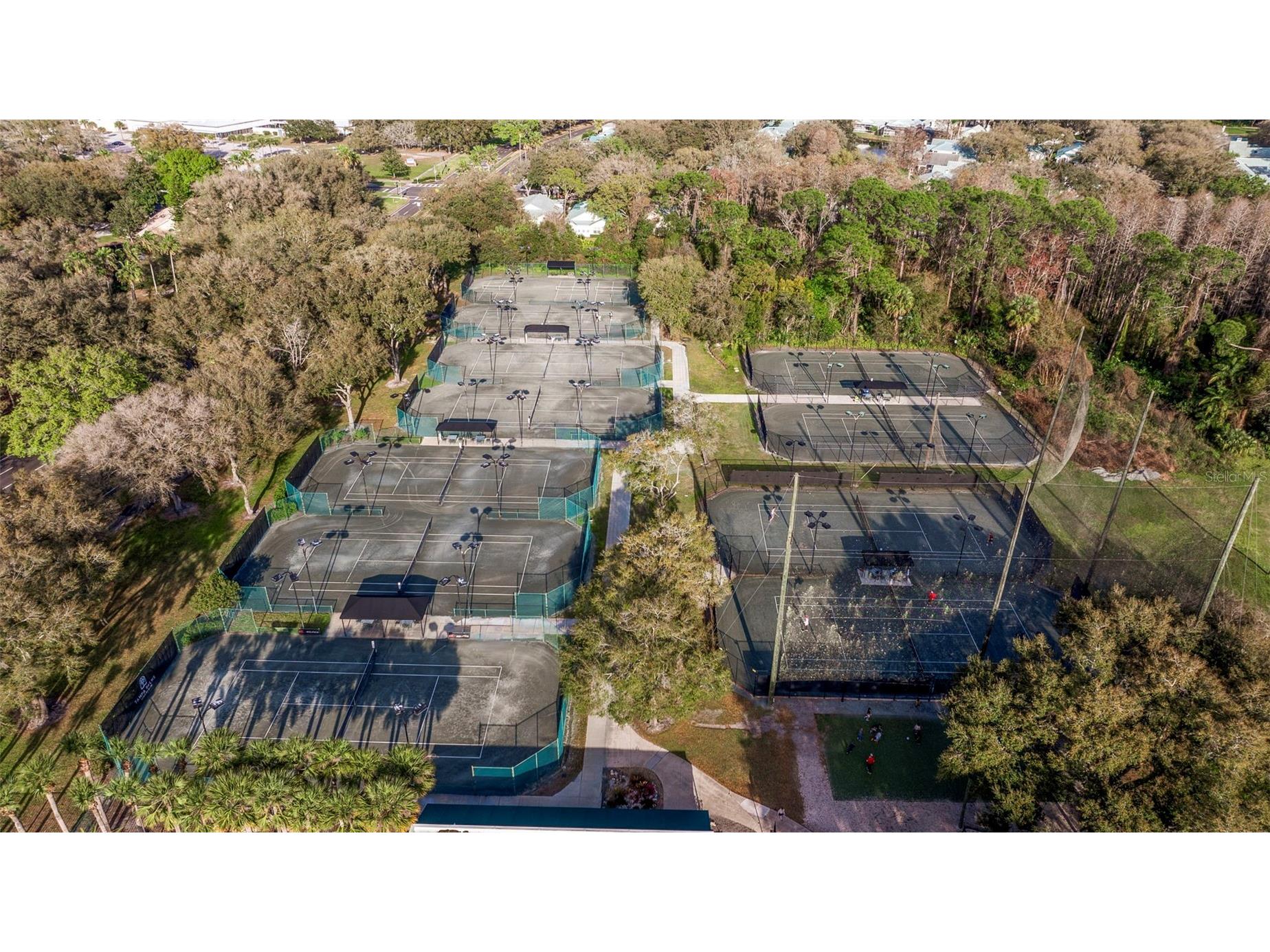 6509 Stonington Drive S Tampa FL 33647 TB8498876 image61