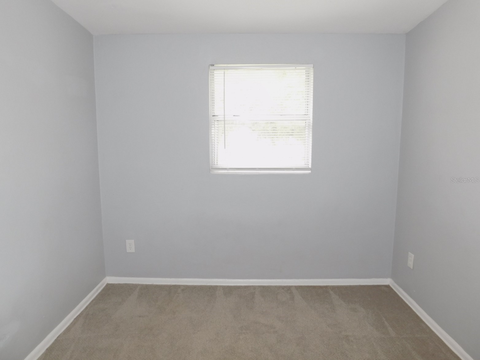651 12th Avenue N Safety Harbor FL 34695 TB8517186 image14