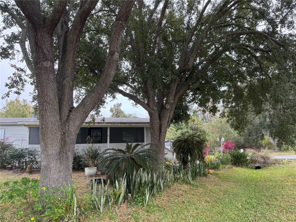 651 J W Jones Road Winter Garden FL 34787 G5103151 image2