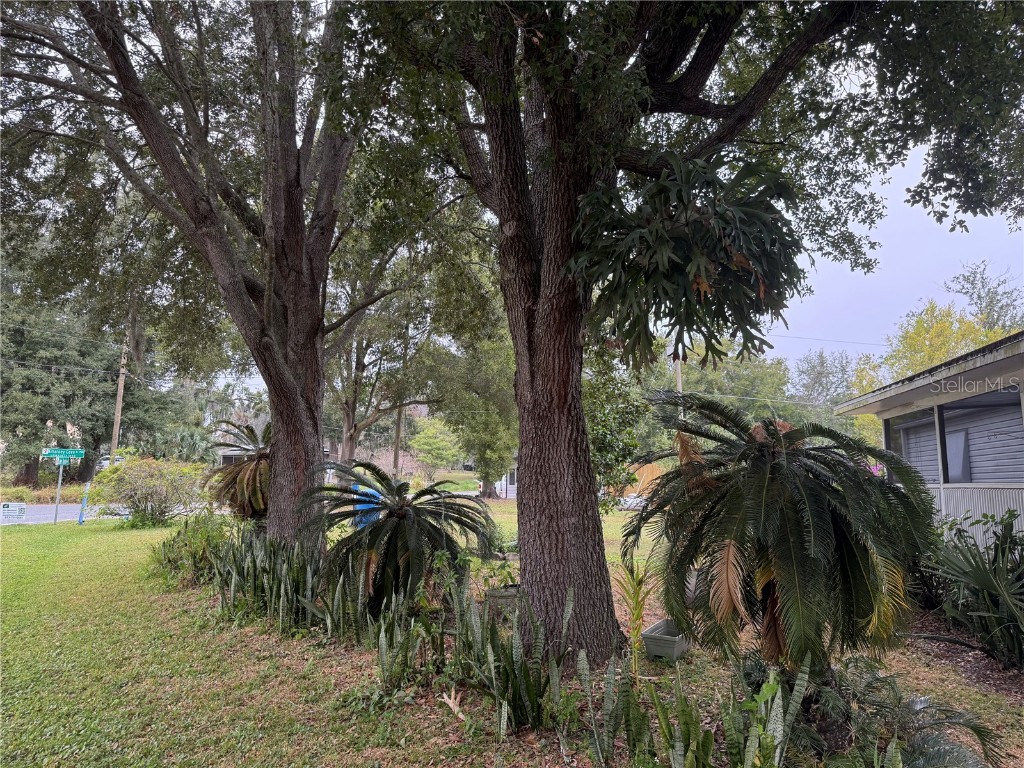 651 J W Jones Road Winter Garden FL 34787 G5103151 image32