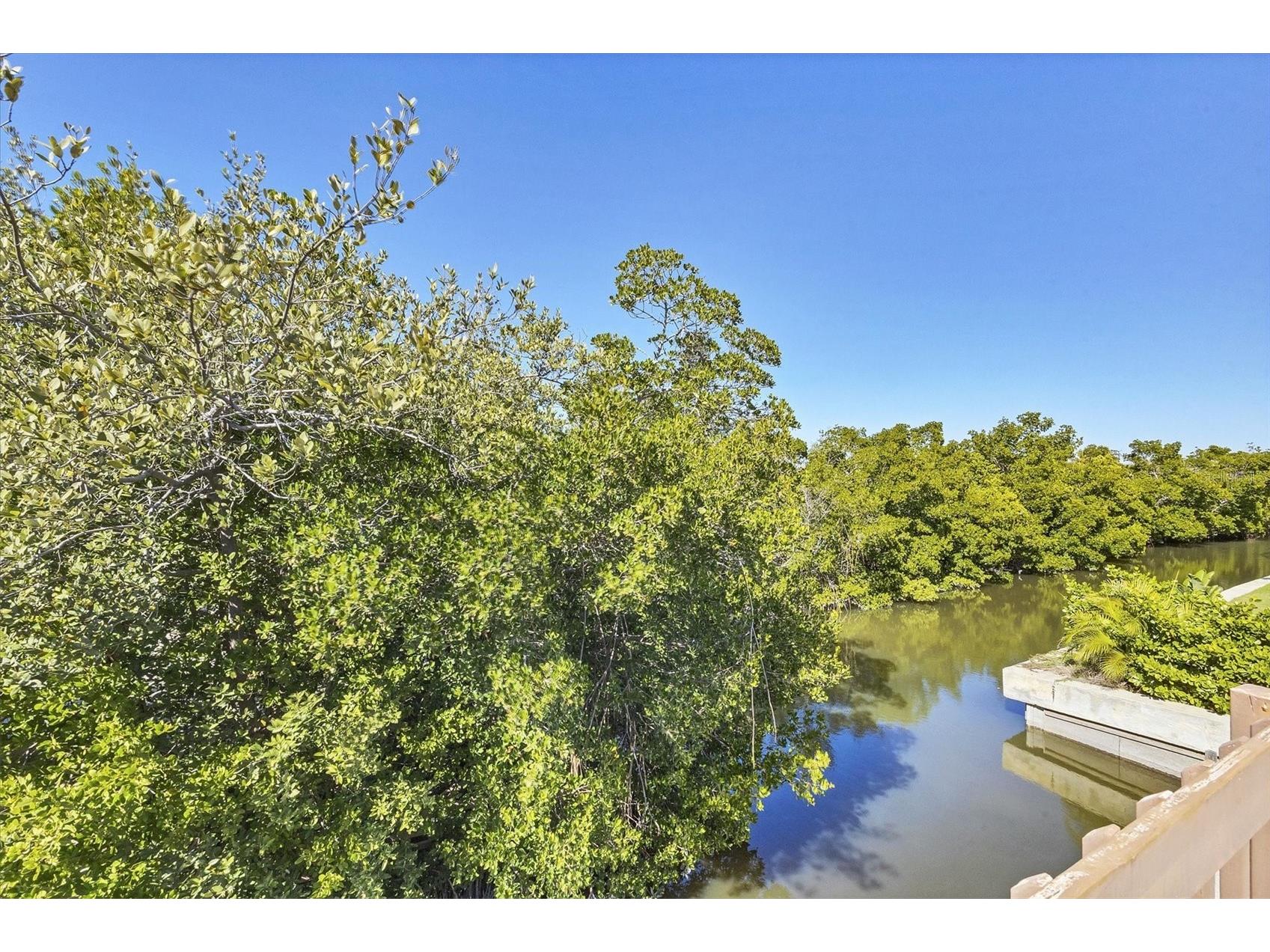 651 Jungle Queen Way Longboat Key FL 34228 A4680514 image44